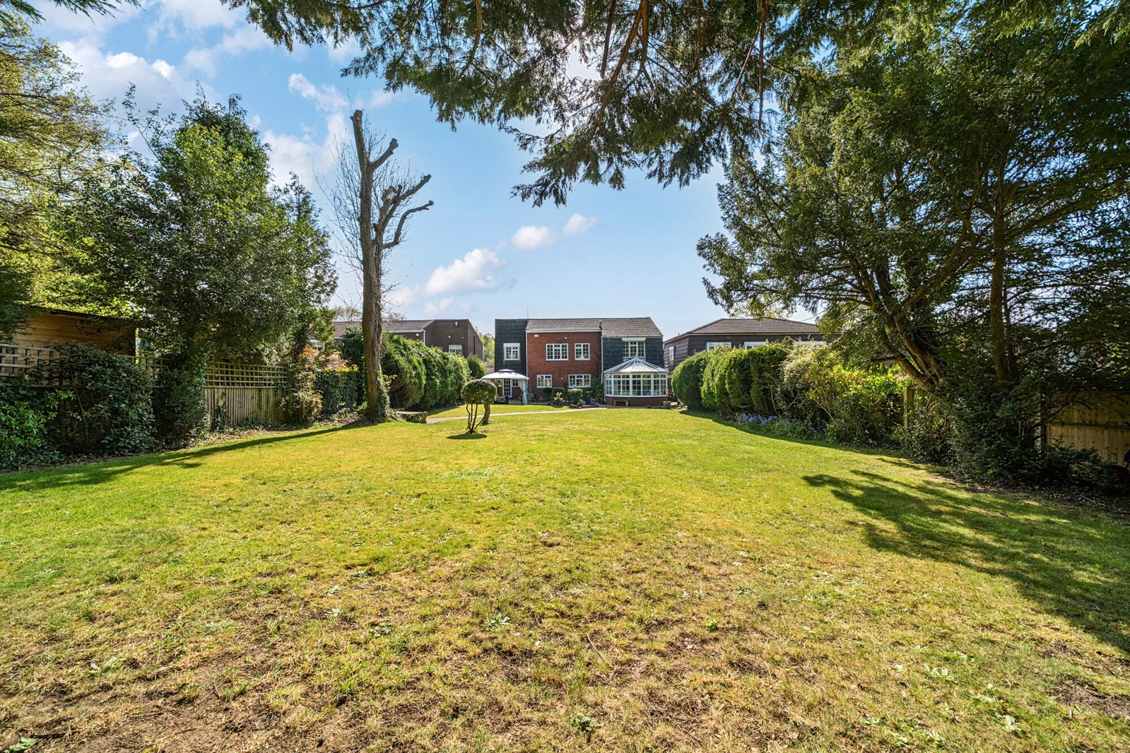 Lazy Owl Image