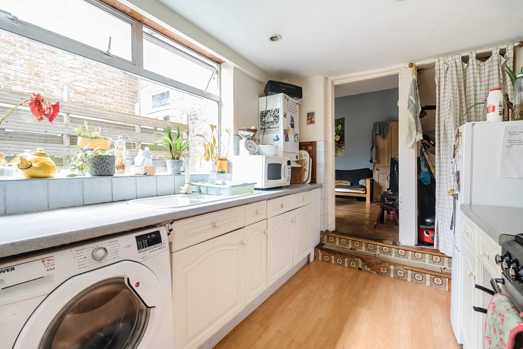 Lazy Owl Image