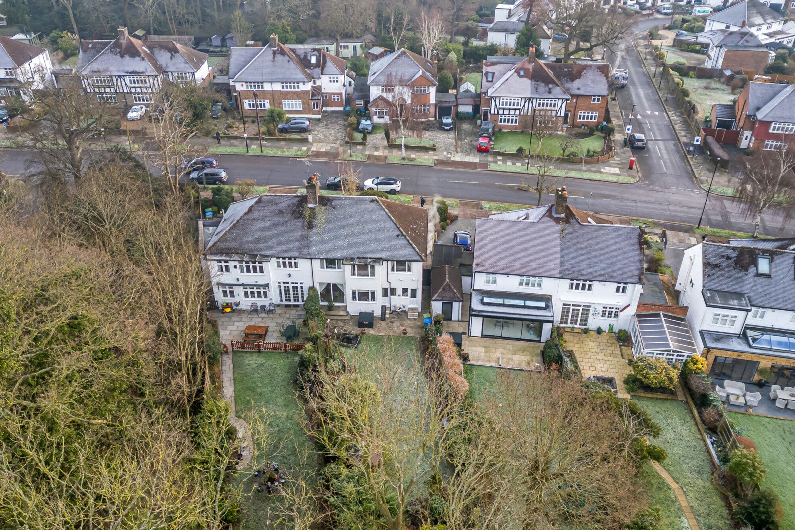 Lazy Owl Image