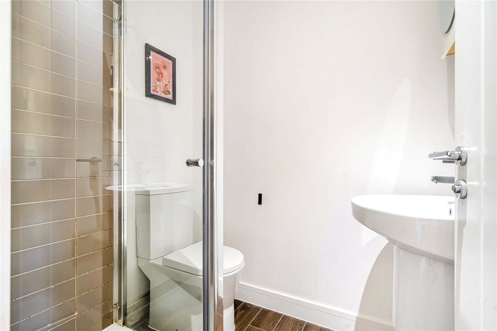 Lazy Owl Image