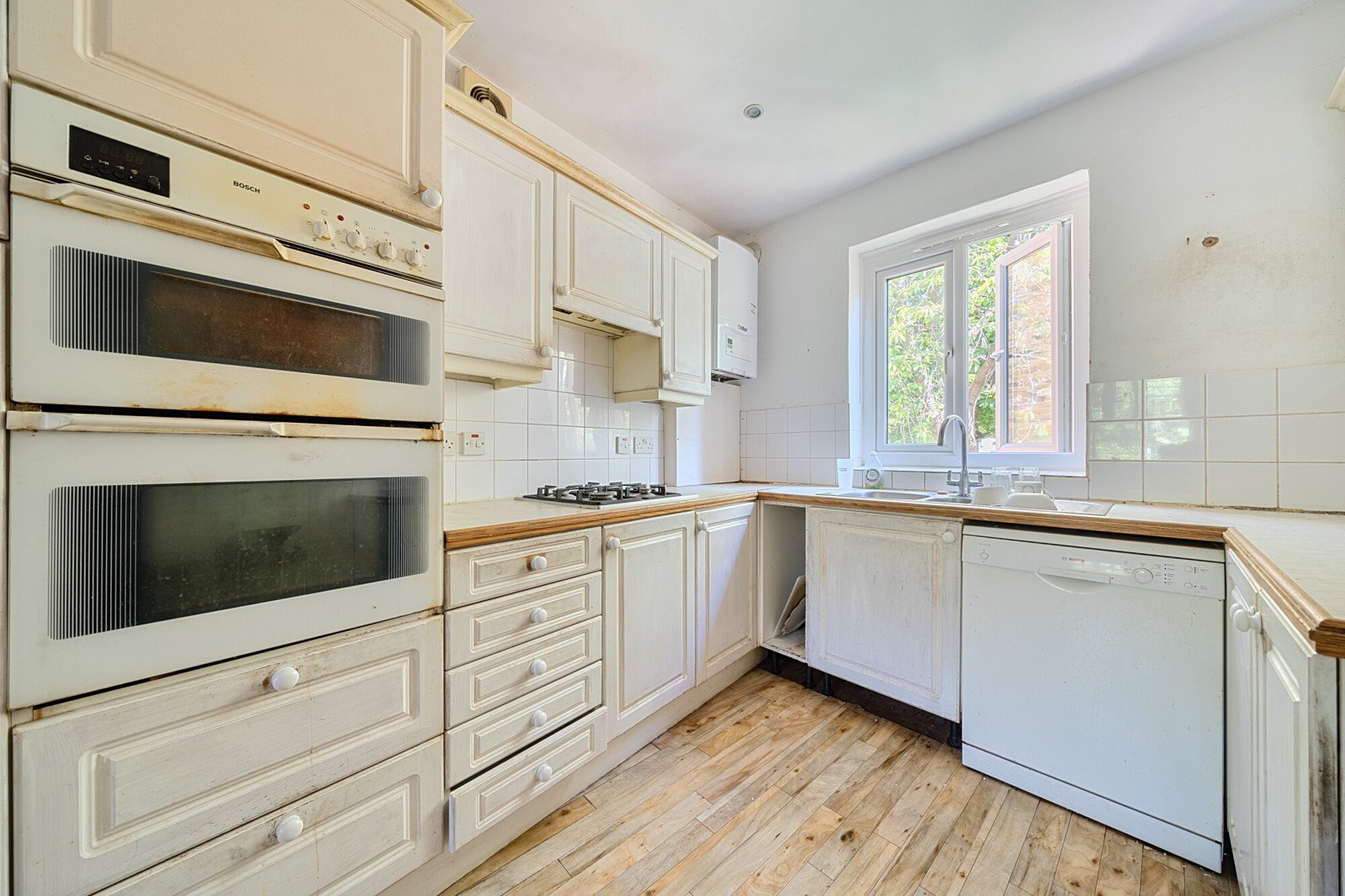 Lazy Owl Image