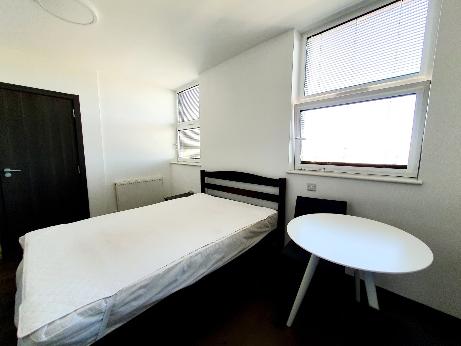 Lazy Owl Image
