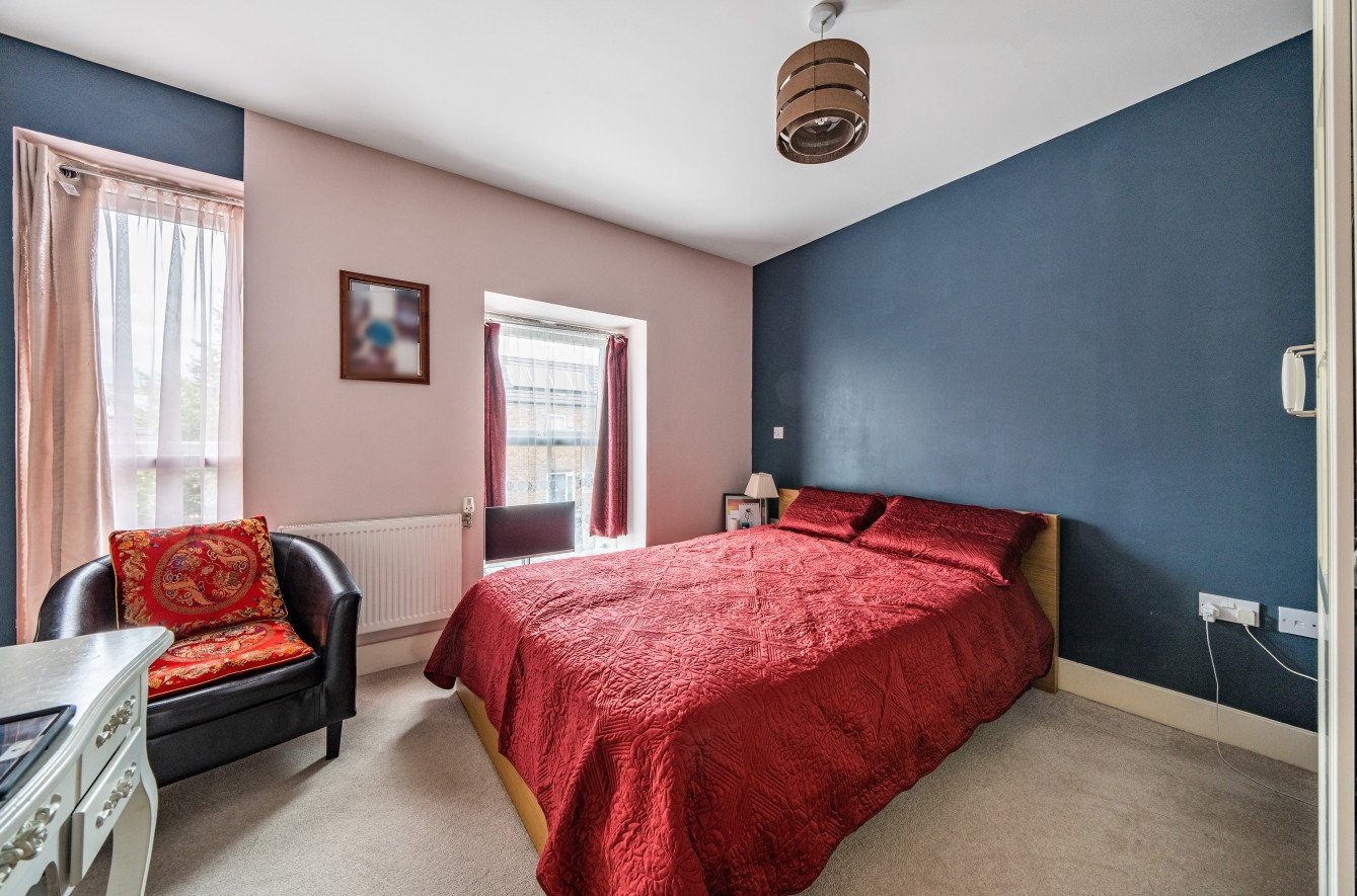 Lazy Owl Image