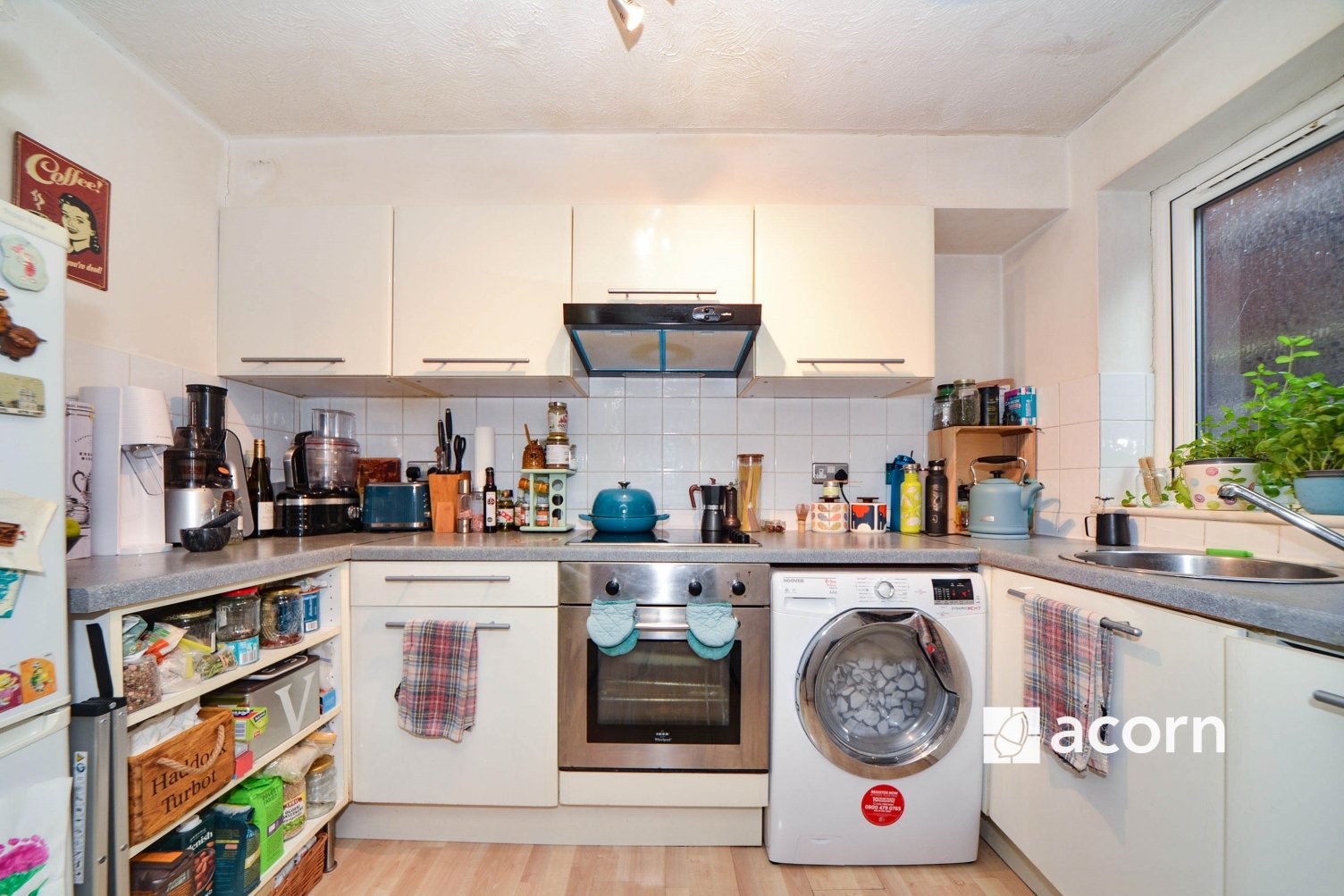 Lazy Owl Image