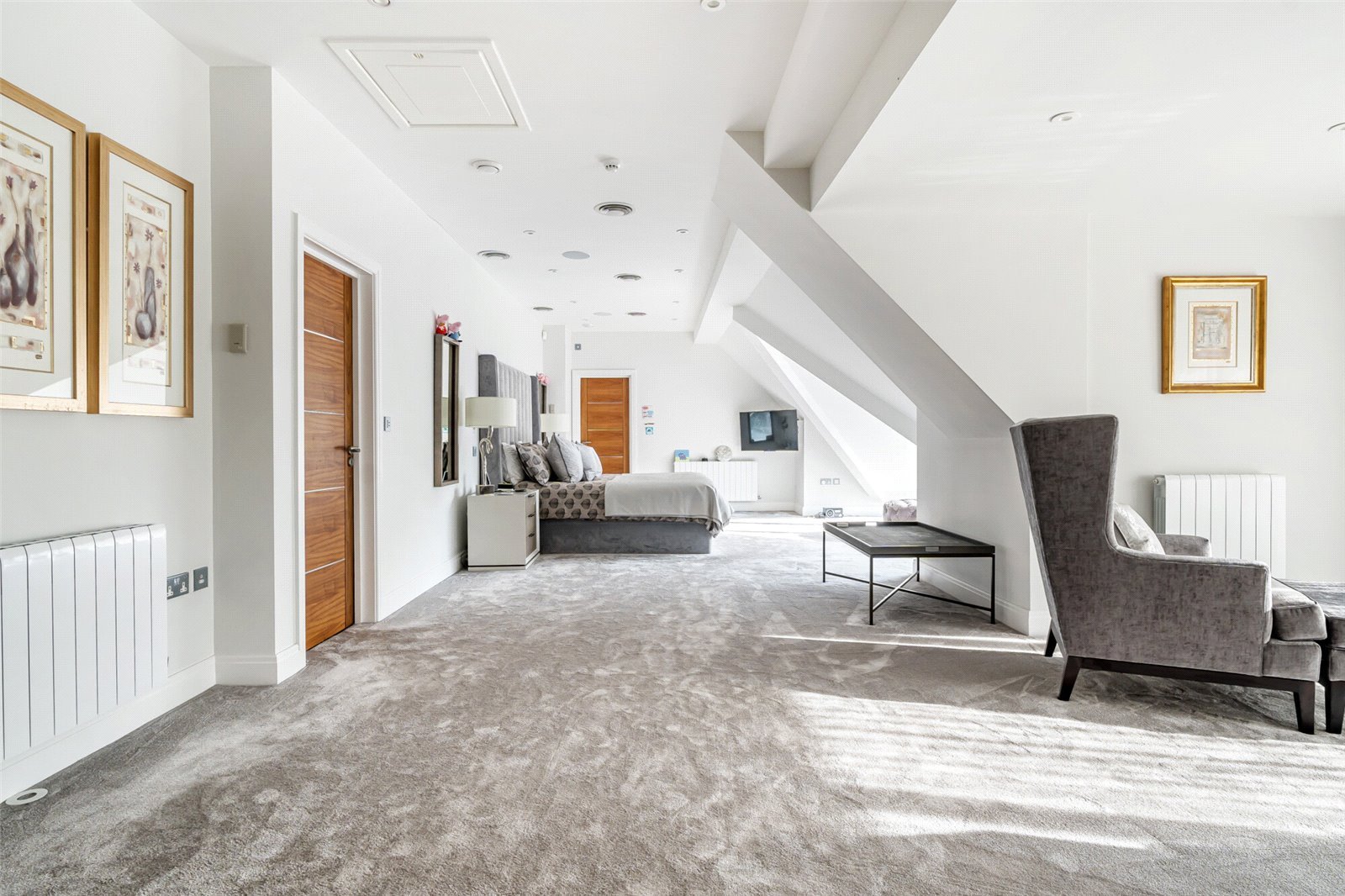 Lazy Owl Image