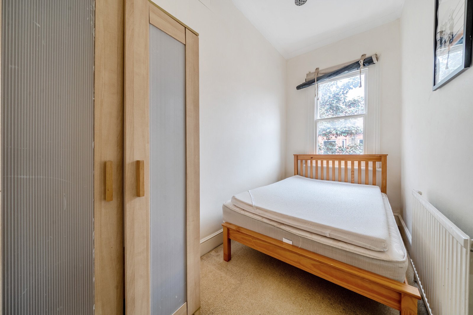 Lazy Owl Image