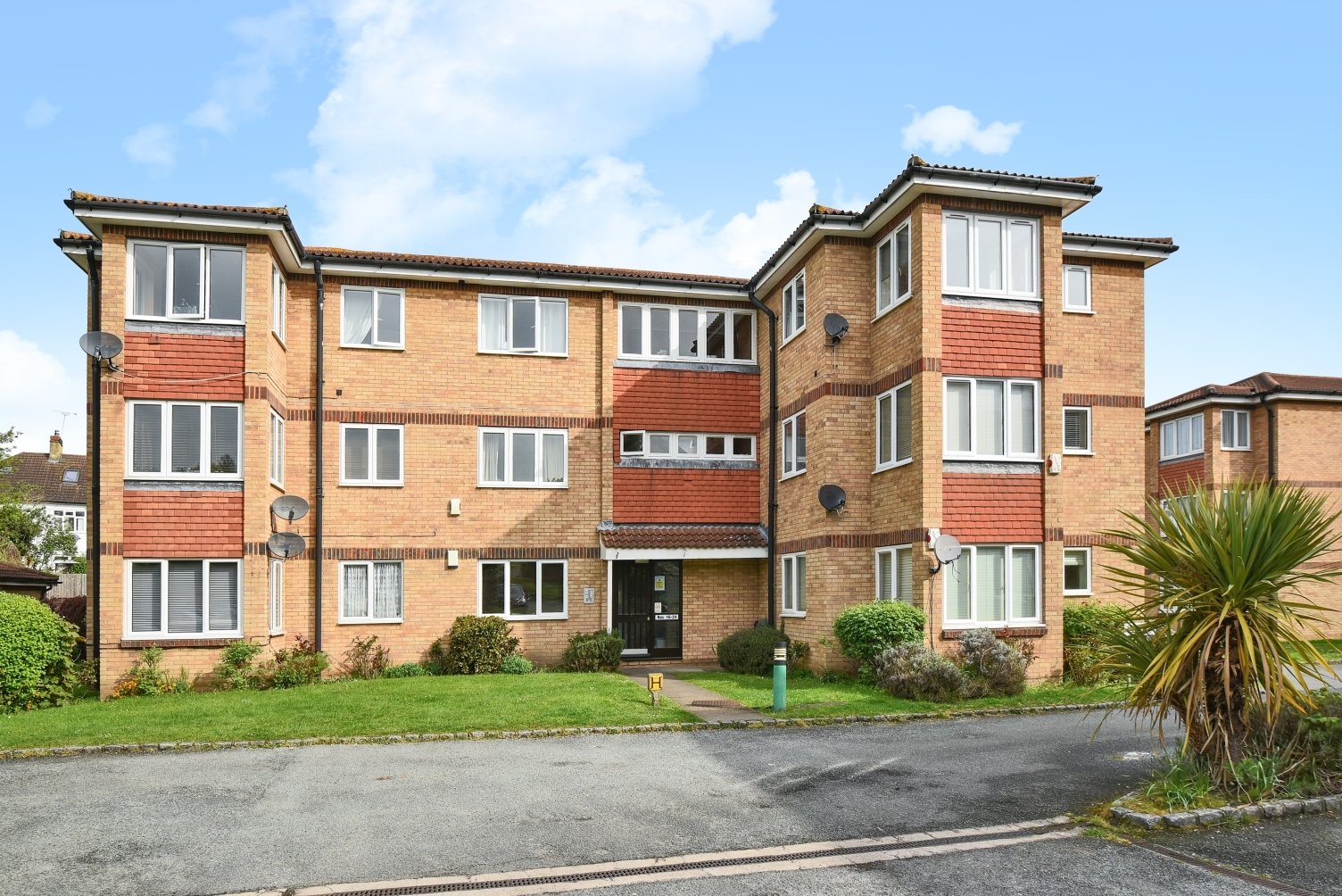 Lazy Owl Image