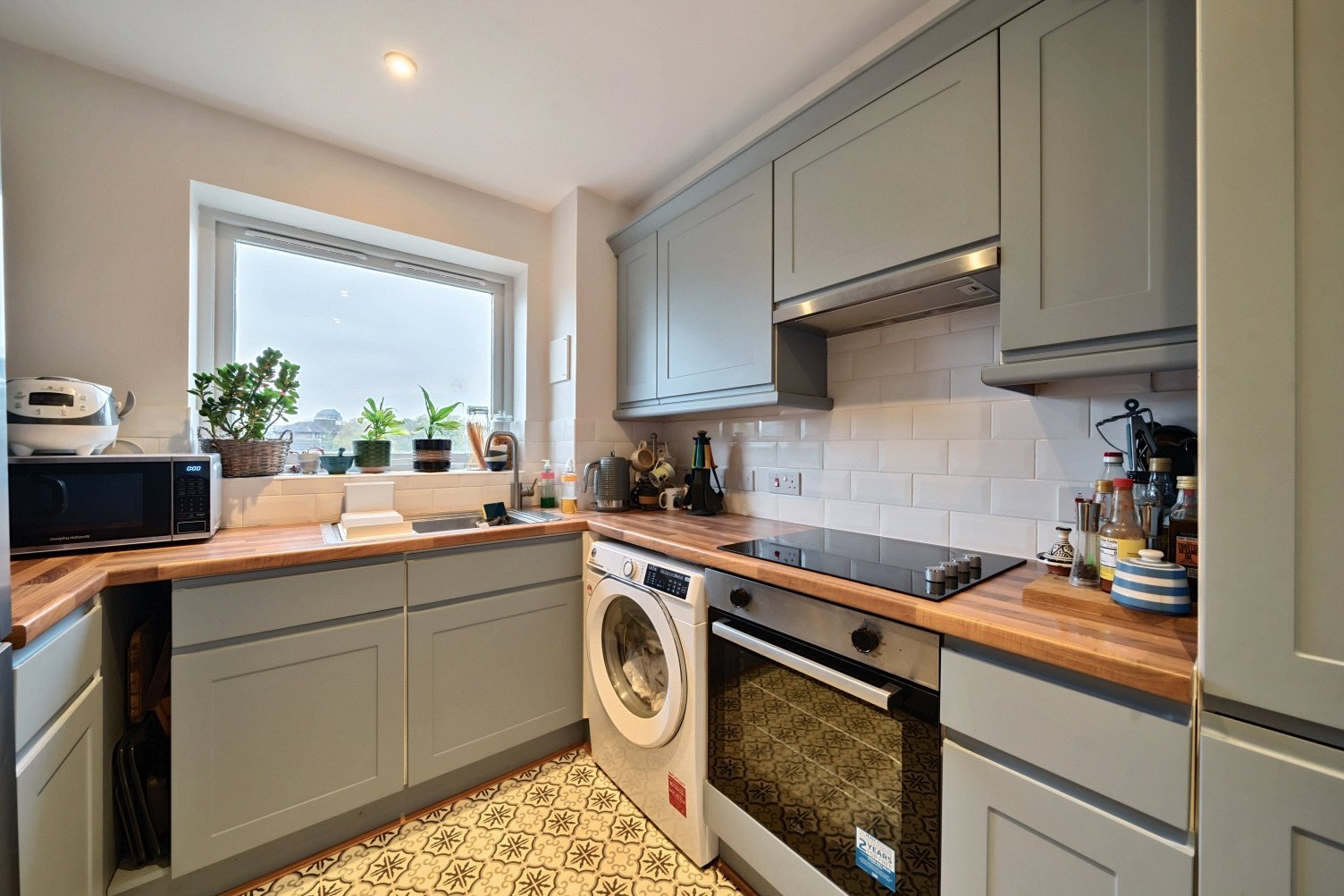 Lazy Owl Image