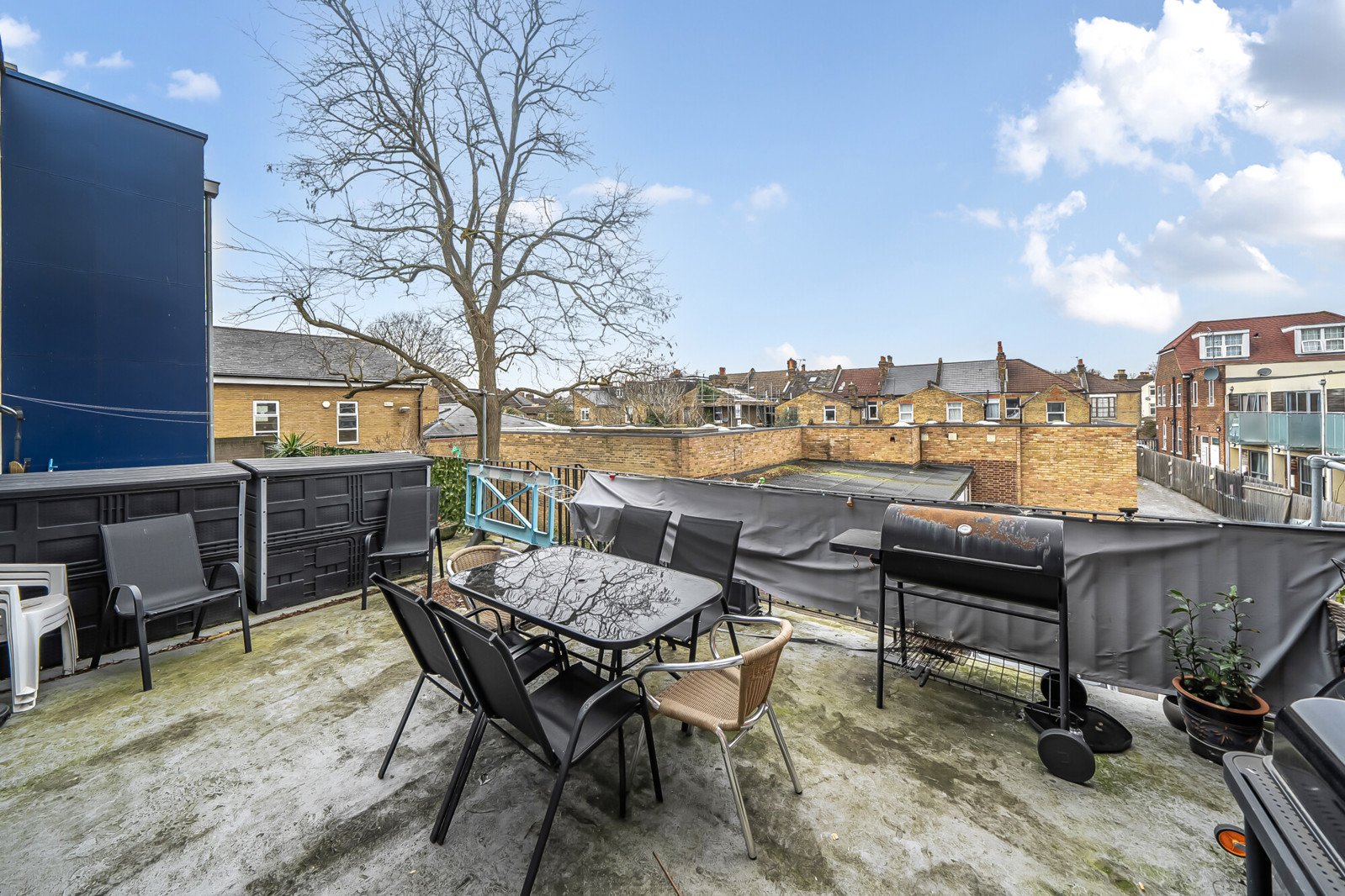 Lazy Owl Image