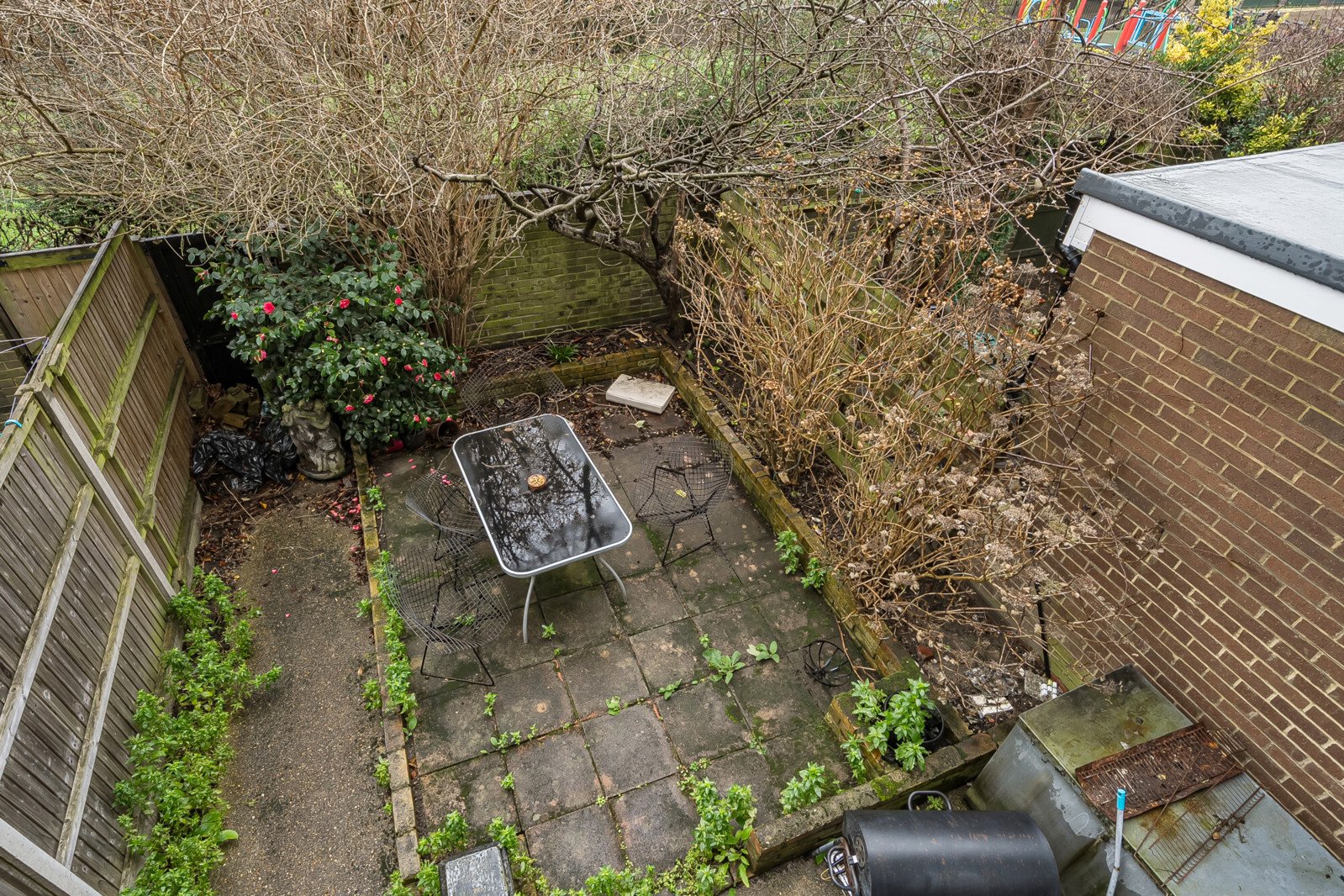 Lazy Owl Image