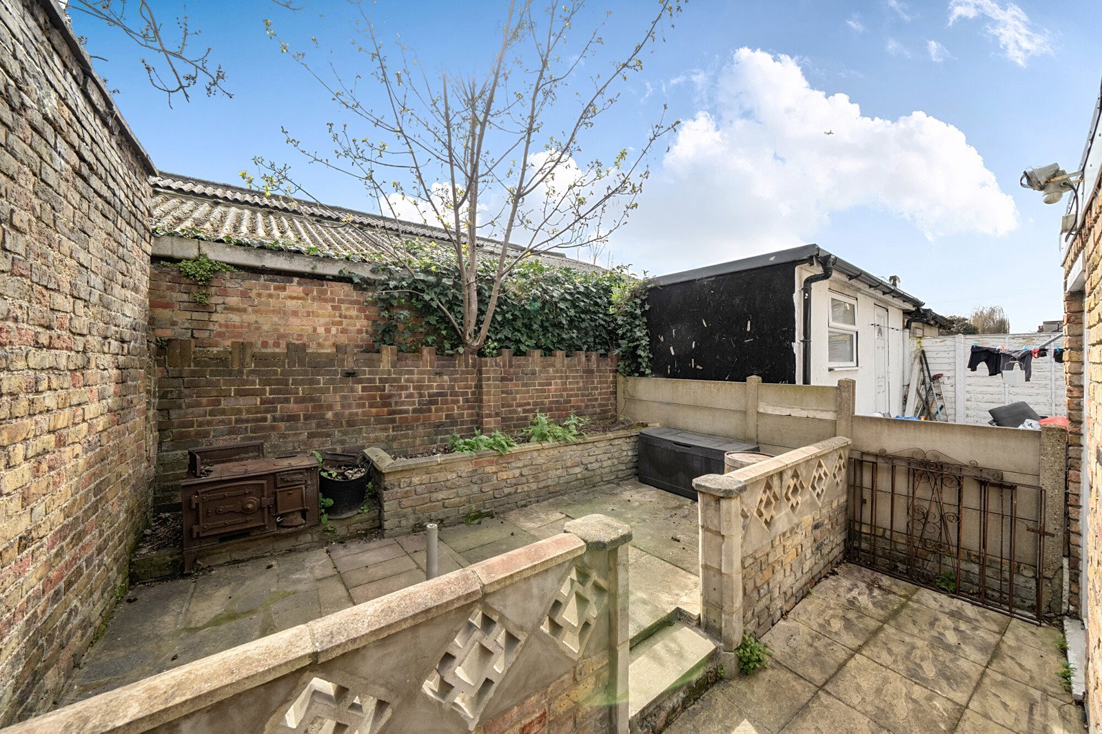 Lazy Owl Image