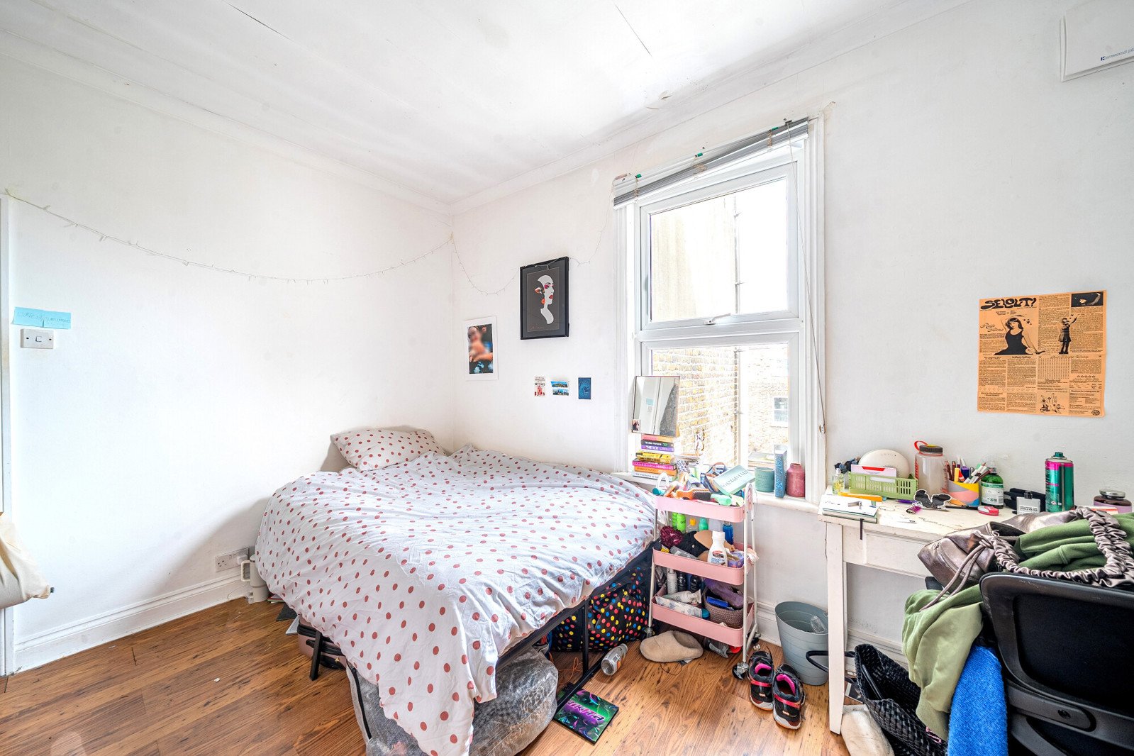Lazy Owl Image