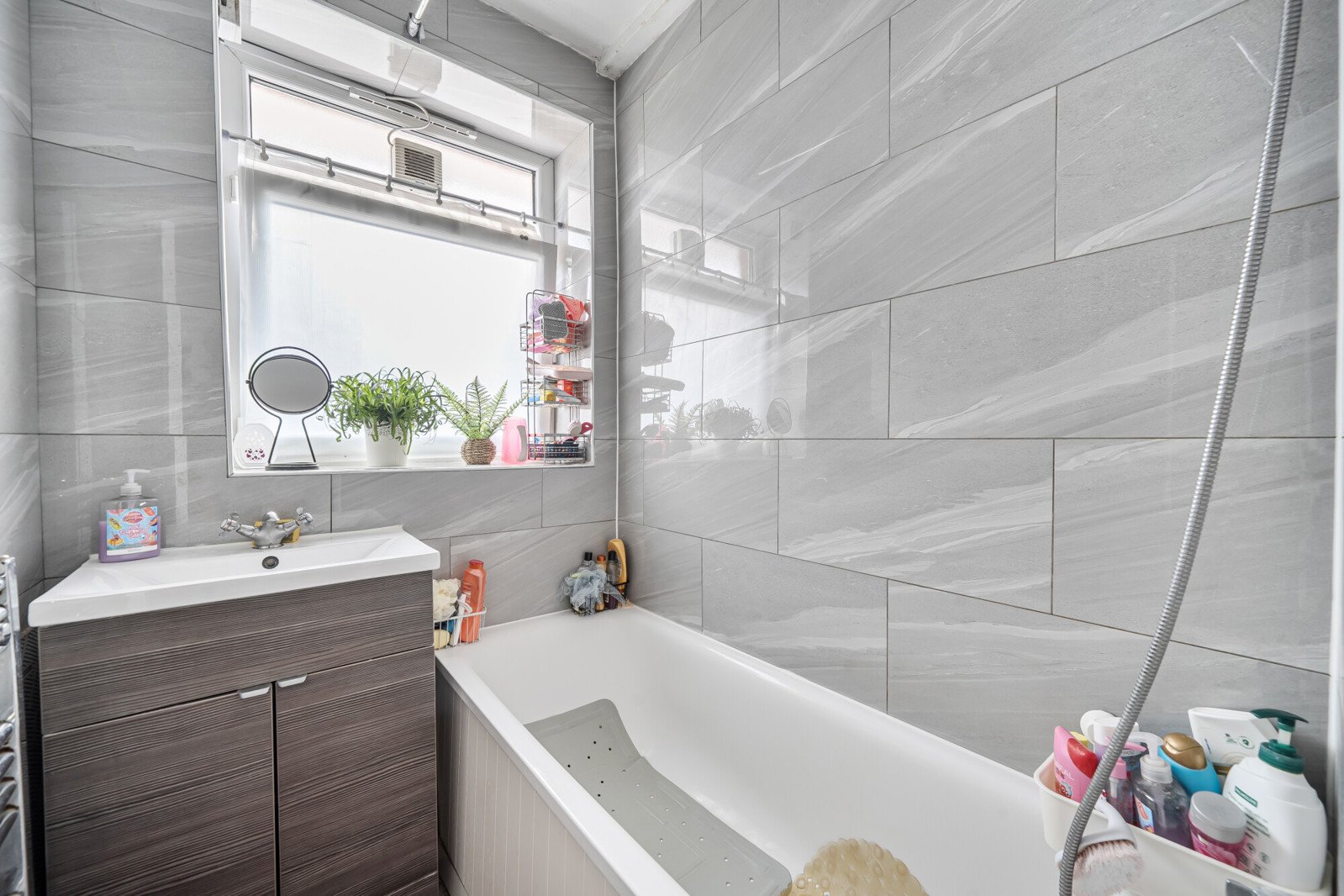 Lazy Owl Image