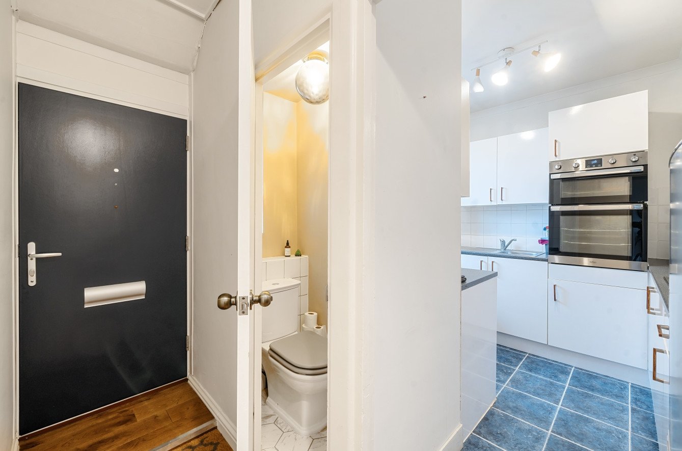 Lazy Owl Image