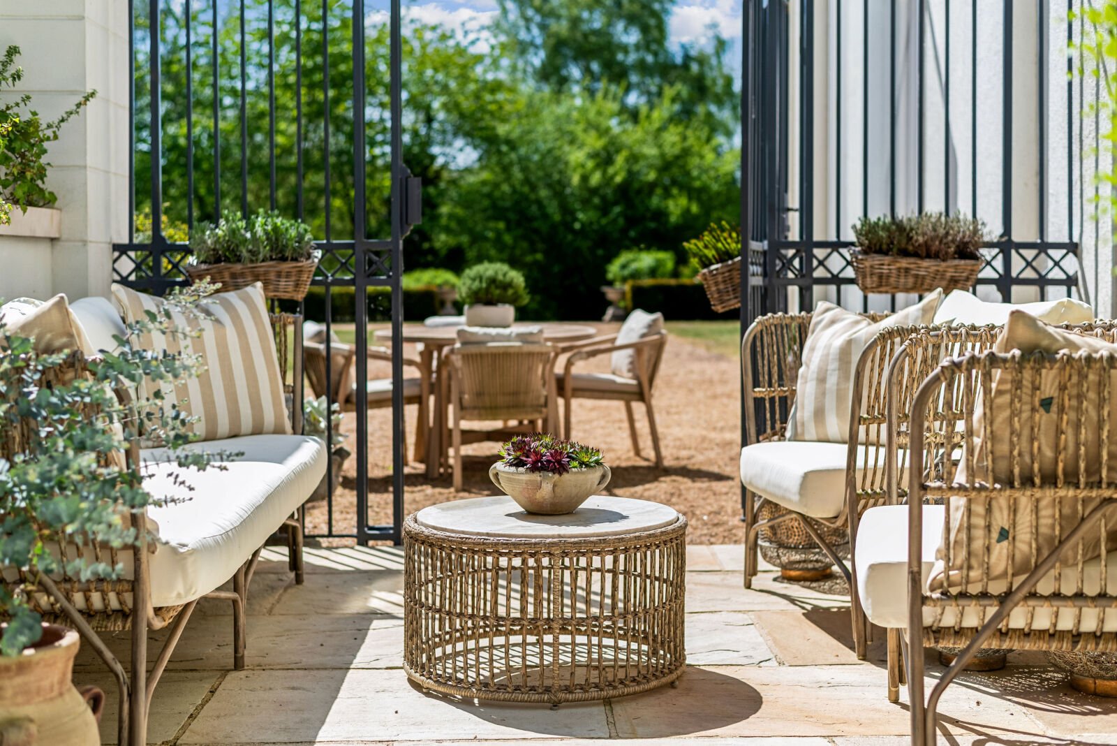 Lazy Owl Image