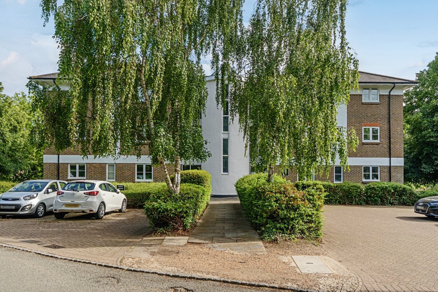 Lazy Owl Image