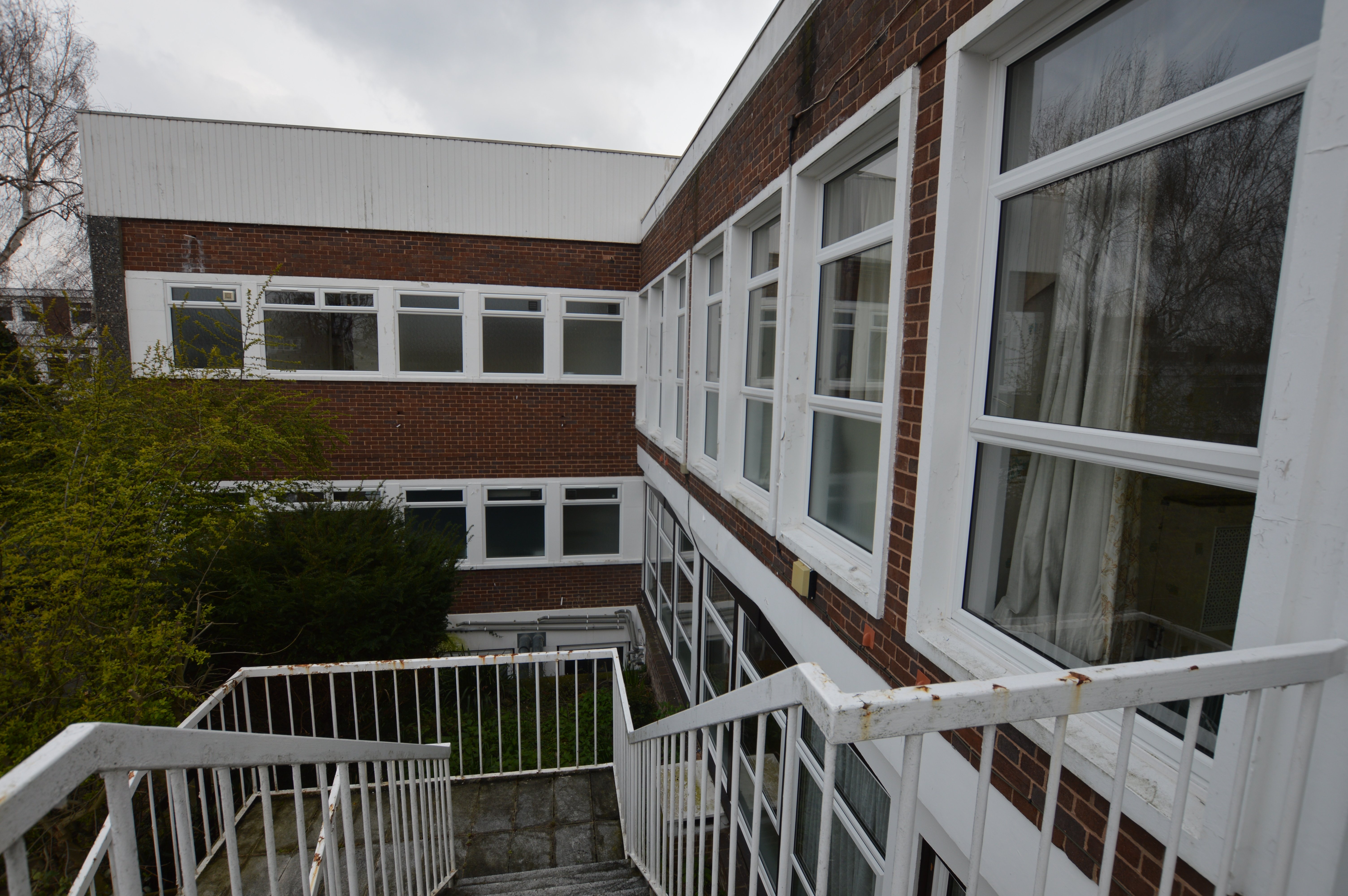 Lazy Owl Image