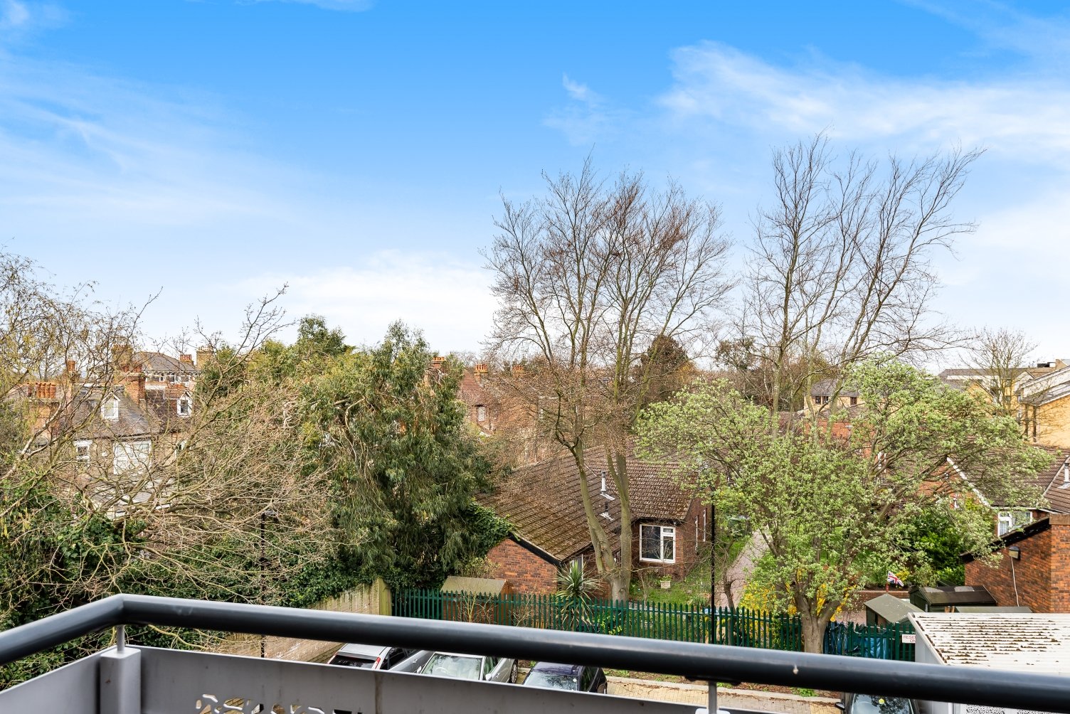 Lazy Owl Image
