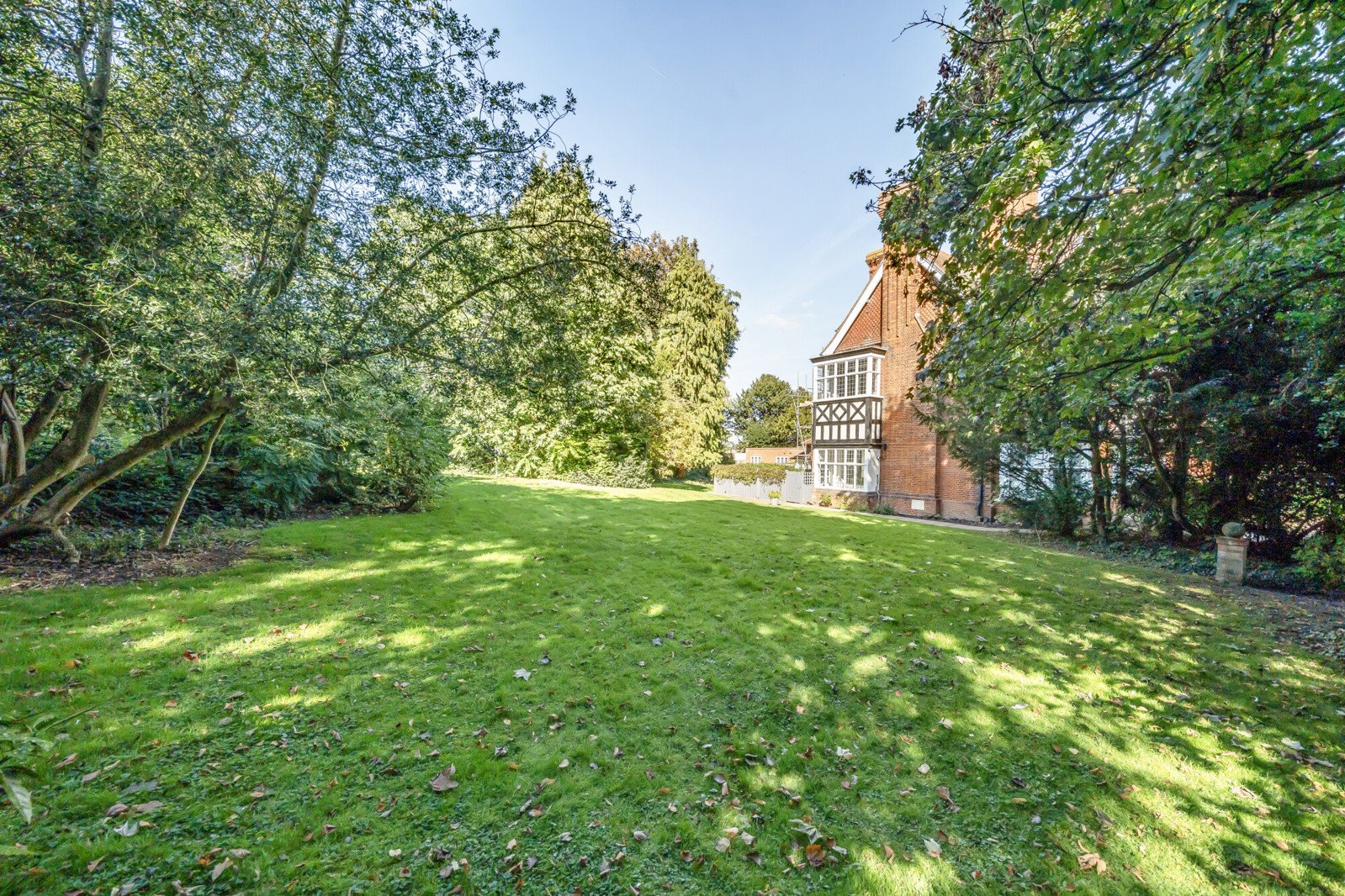 Lazy Owl Image