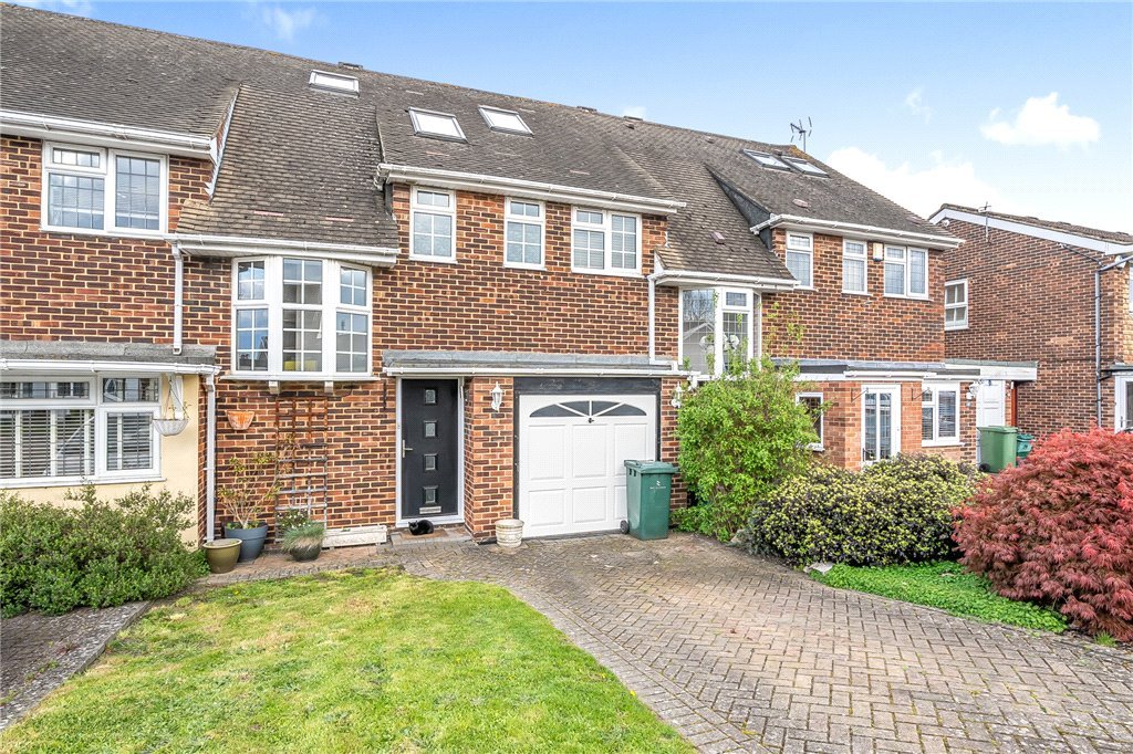 Lazy Owl Image