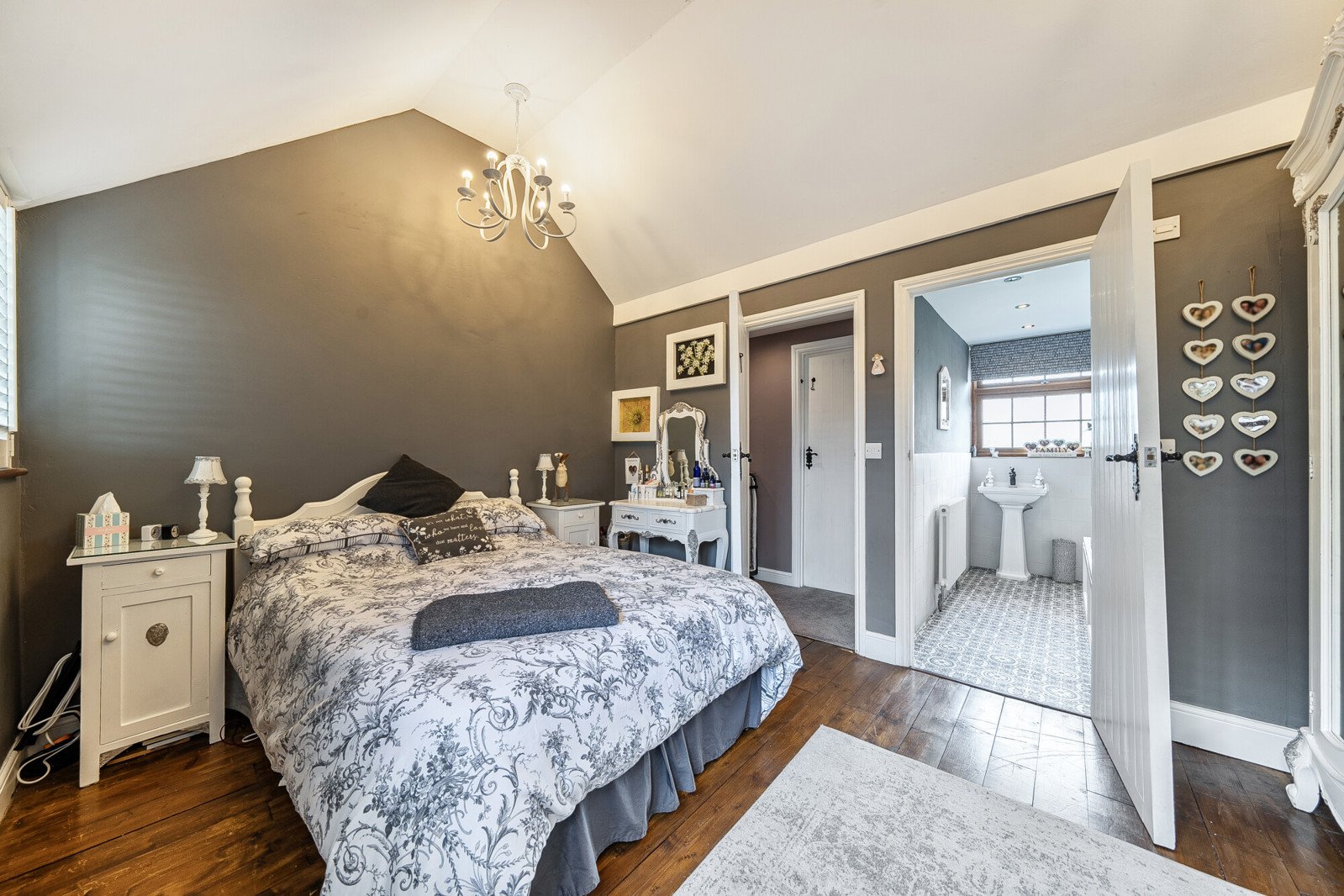 Lazy Owl Image