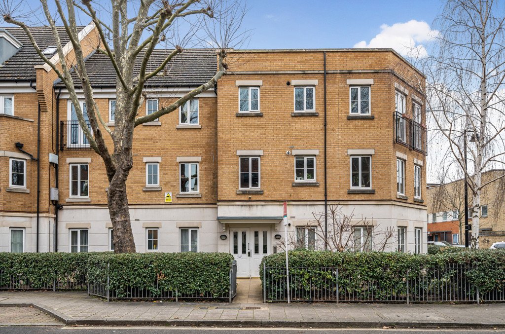 Lazy Owl Image