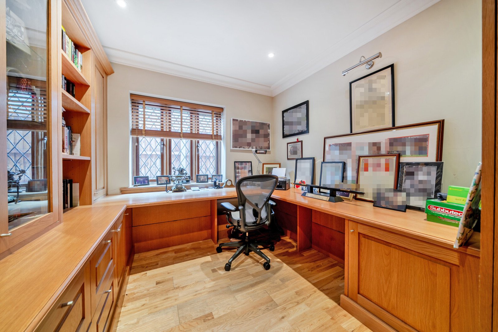 Lazy Owl Image